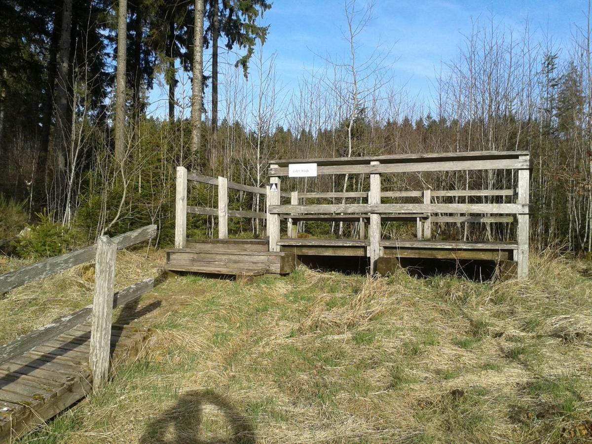 Ferienwohnung Bleialf Exteriör bild